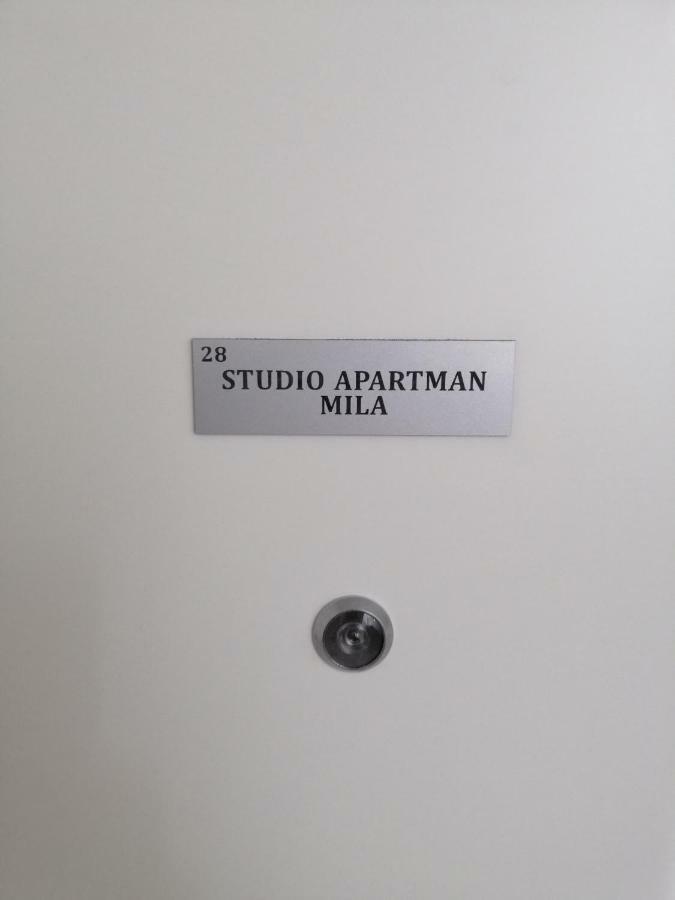 Studio Apartment Mila 普拉 外观 照片